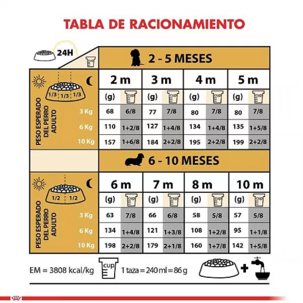 Cachorro Dachshund Junior Alimento Para Perro>Royal Canin Clearance