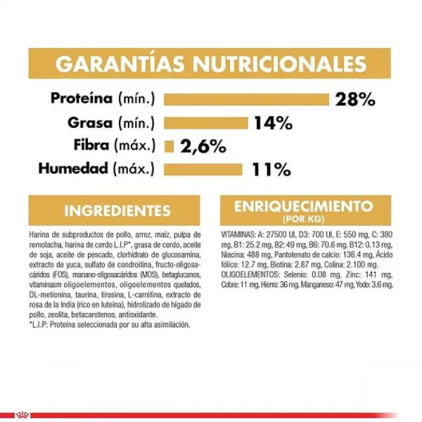 Cachorro Dachshund Junior Alimento Para Perro>Royal Canin Clearance