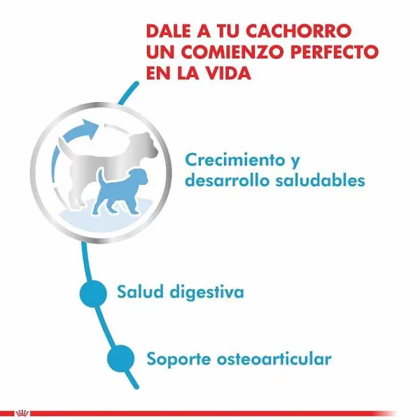 Cachorro Maxi Puppy Alimento Para Perro>Royal Canin Online