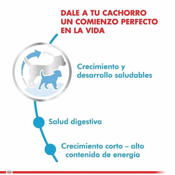 Cachorro Medium Puppy Alimento Para Perro>Royal Canin Best Sale