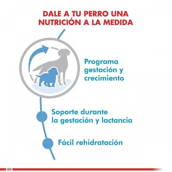 Cachorro Medium Starter Alimento Para Perro>Royal Canin Store