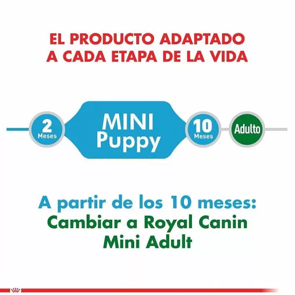 Cachorro Mini Puppy Alimento Para Perro>Royal Canin Fashion