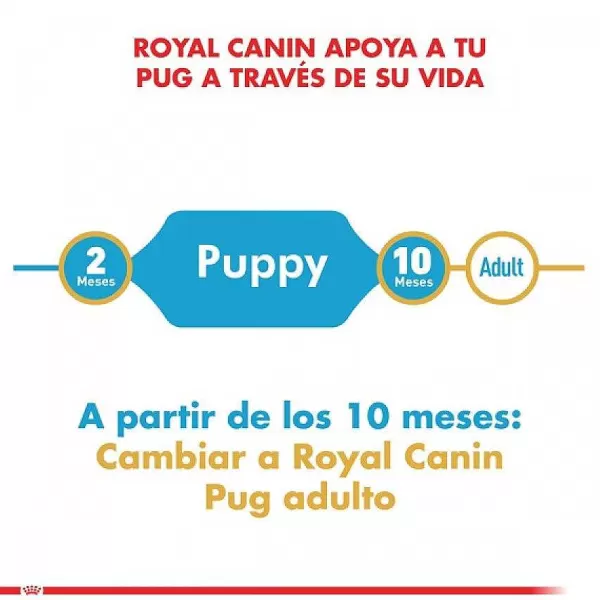 Cachorro Pug Junior Alimento Para Perro>Royal Canin Online