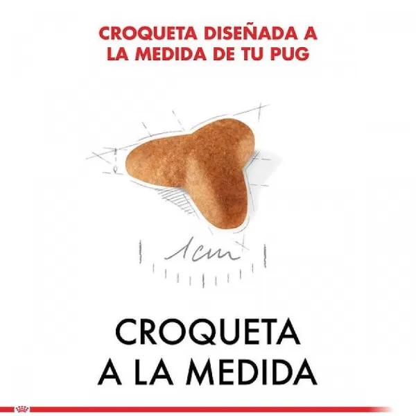 Cachorro Pug Junior Alimento Para Perro>Royal Canin Online