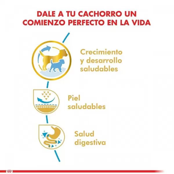 Cachorro Pug Junior Alimento Para Perro>Royal Canin Online