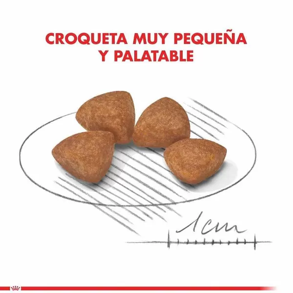 Cachorro X-Small Puppy Alimento Para Perro>Royal Canin Fashion