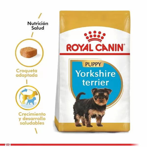 Cachorro Yorkshire Terrier Junior Alimento Para Perro>Royal Canin Best Sale