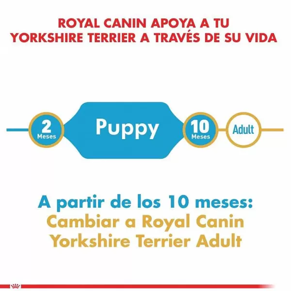 Cachorro Yorkshire Terrier Junior Alimento Para Perro>Royal Canin Best Sale