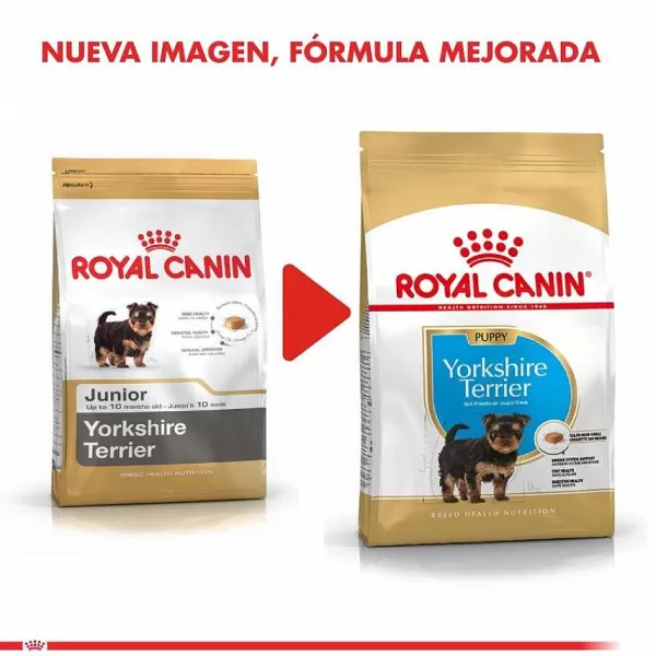 Cachorro Yorkshire Terrier Junior Alimento Para Perro>Royal Canin Best Sale