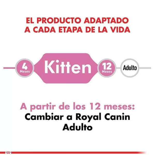 Gatito Felino Kitten Alimento Para Gato>Royal Canin Cheap