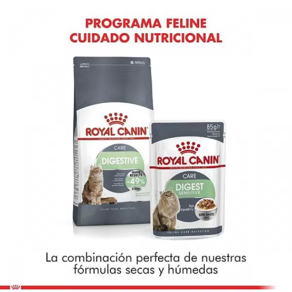 Adulto Digestive Care Alimento Para Gatos>Royal Canin Cheap