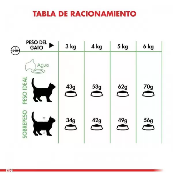 Adulto Digestive Care Alimento Para Gatos>Royal Canin Cheap