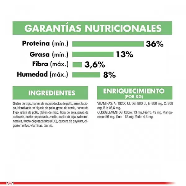 Adulto Digestive Care Alimento Para Gatos>Royal Canin Cheap